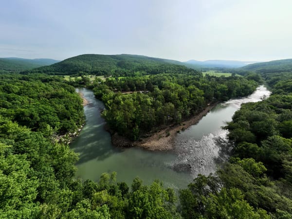 Northwest Arkansas Eyes Regional Authority to Guide Growth and Collaboration