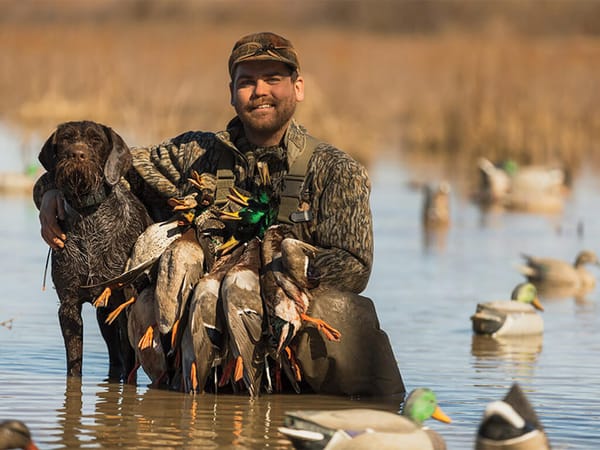 Waterfowl Hunters Adjust to Low Water and Warm Skies as Arkansas Season Begins